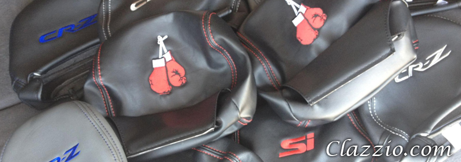 Clazzio Leather for Scion tC